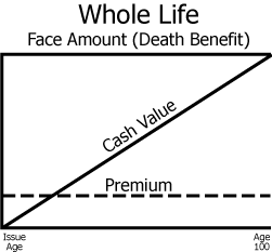 <p>What type of whole life policy is depicted with this graph</p>