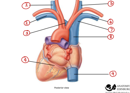 <p>Label this diagram</p>