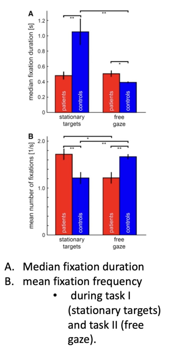 <p>Compared eye movements of schizophrenics VS healthy controls in 4 natural tasks using a mobile eye tracker:</p><ol><li><p>Fixating on stationary objects in a waiting room</p></li><li><p>Sitting in a hallway with free gaze</p></li><li><p>Walking down the hallway</p></li><li><p>Visually tracking targets on the floor while walking straight ahead</p></li></ol><p>Results:</p><ul><li><p>When they had to fixate on predefined targets in a freely chosen, random order, the patient’s fixations were significantly shorter in duration, but occurred more frequently than healthy controls (think: that gif where she’s eating chips and looking side to side)</p></li><li><p>During free gaze (i.e. sitting aimlessly in a hallway), this was inverse and they fixated for LONGER, but less frequently than HCs. </p></li><li><p>However, the median fixation duration did not differ between the two groups</p></li></ul><p>Takeaway: There are significant differences in fundamental oculomotor parameters between schizophrenic patients and HCs during NATURAL behaviour in a REAL environment</p><ul><li><p>Not just in lab settings!</p></li><li><p>Also shows they might have some compensatory strategies in natural settings to overcome deficits observed in lab studies, but little is known about how</p></li><li><p>Meaning, the bleak results from previous lab studies probably don’t translate into the real world (good news)</p></li></ul><p></p>