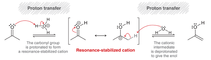 <p>proton transfer (protonation of carbonyl)</p><p>rearrangement of resonance-stabilized cation</p><p>proton transfer (deprotonation at alpha position)</p>