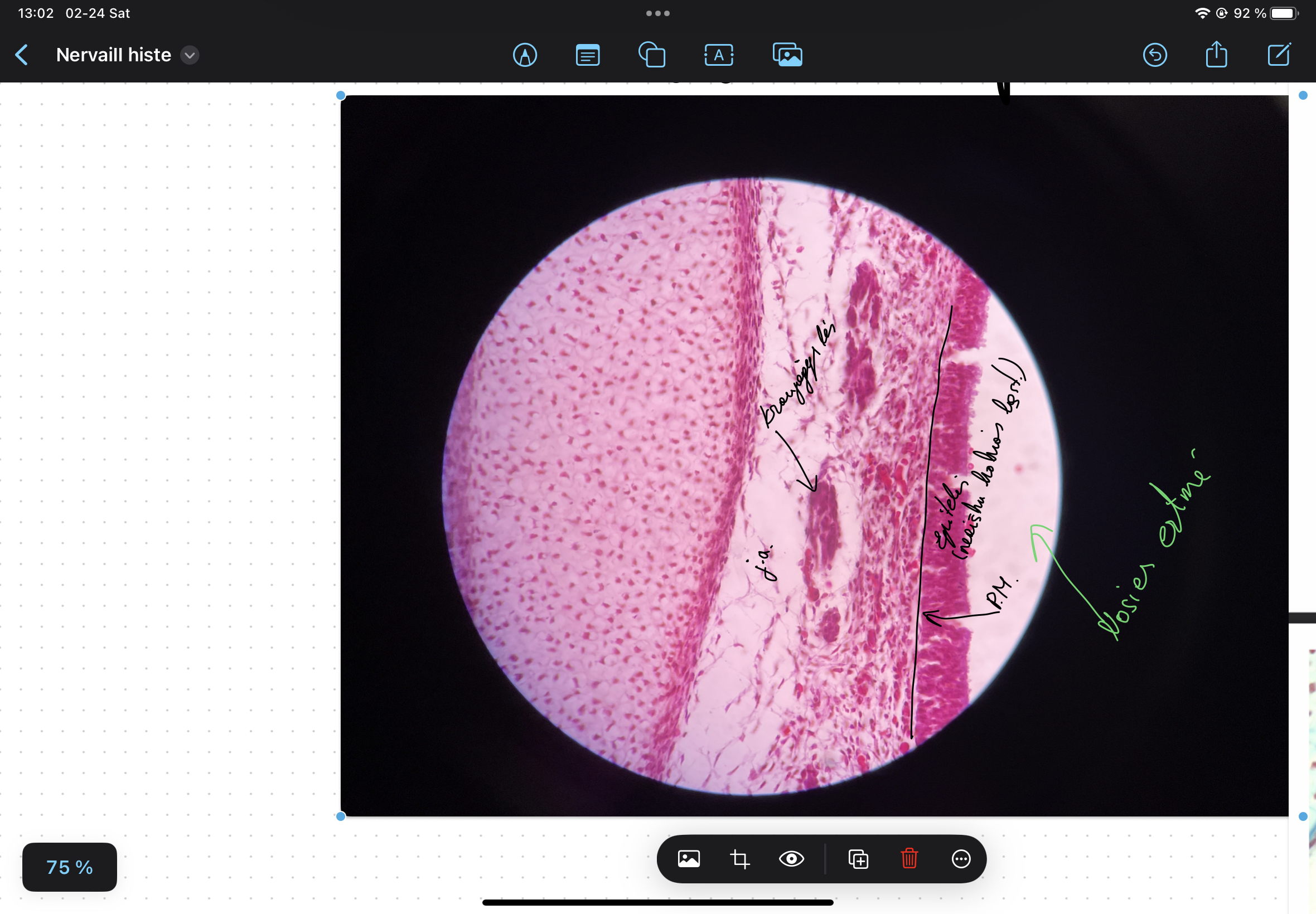 knowt flashcard image