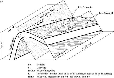 <ul><li><p><strong>Fold Axis</strong> – The line connecting points of maximum curvature in a fold.</p></li><li><p><strong>Axial Plane</strong> – The imaginary surface dividing a fold into two symmetrical halves.</p></li><li><p><strong>Plunge</strong> – The angle between the fold axis and a horizontal plane. </p></li></ul><p></p>