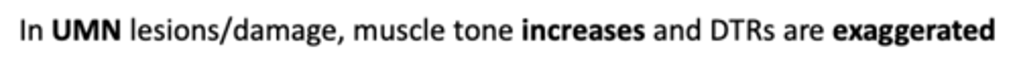 <p>In UMN lesions, muscle tone ____________ and deep tendon reflexes ____________</p>