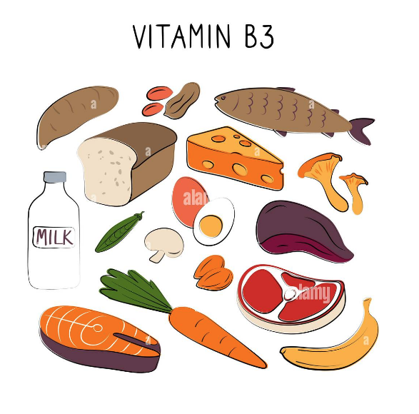 <p><span data-name="chart_decreasing" data-type="emoji">📉</span><span data-name="chart_increasing" data-type="emoji">📈</span> Нікотинової кислоти (B<sub>3</sub>)</p>