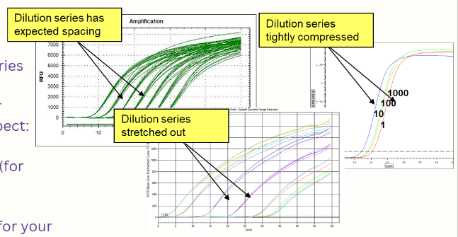 <ul><li><p><span>If the dilution series comes out "compressed" or "stretched," suspect:</span></p><ul><li><p><span>Pipetting</span></p></li><li><p><span>Too much DNA (for your assay)</span></p></li><li><p><span>PCR inhibitors&nbsp;</span></p></li><li><p><span>Too little DNA (for your assay)</span></p></li><li><p><span>Poor PCR efficiency</span></p></li></ul></li></ul><p></p>