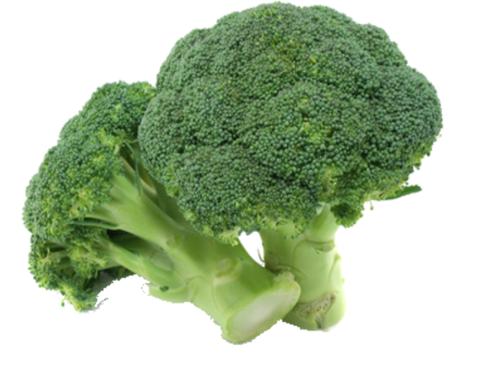 <p>broccoli </p>