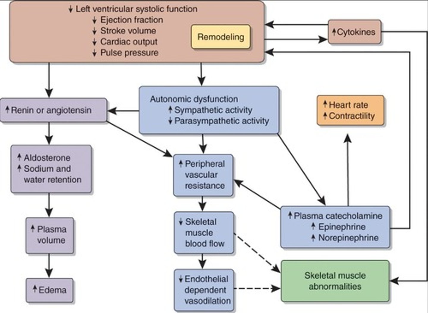 <p>60% are caused by ischemic heart diseases.</p>