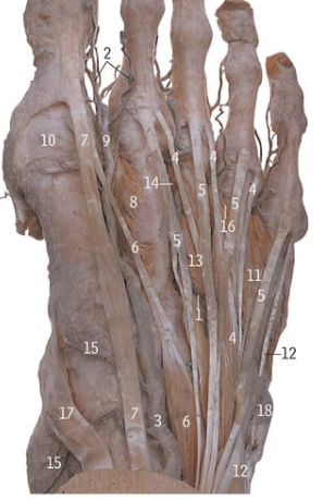 <p>6</p>