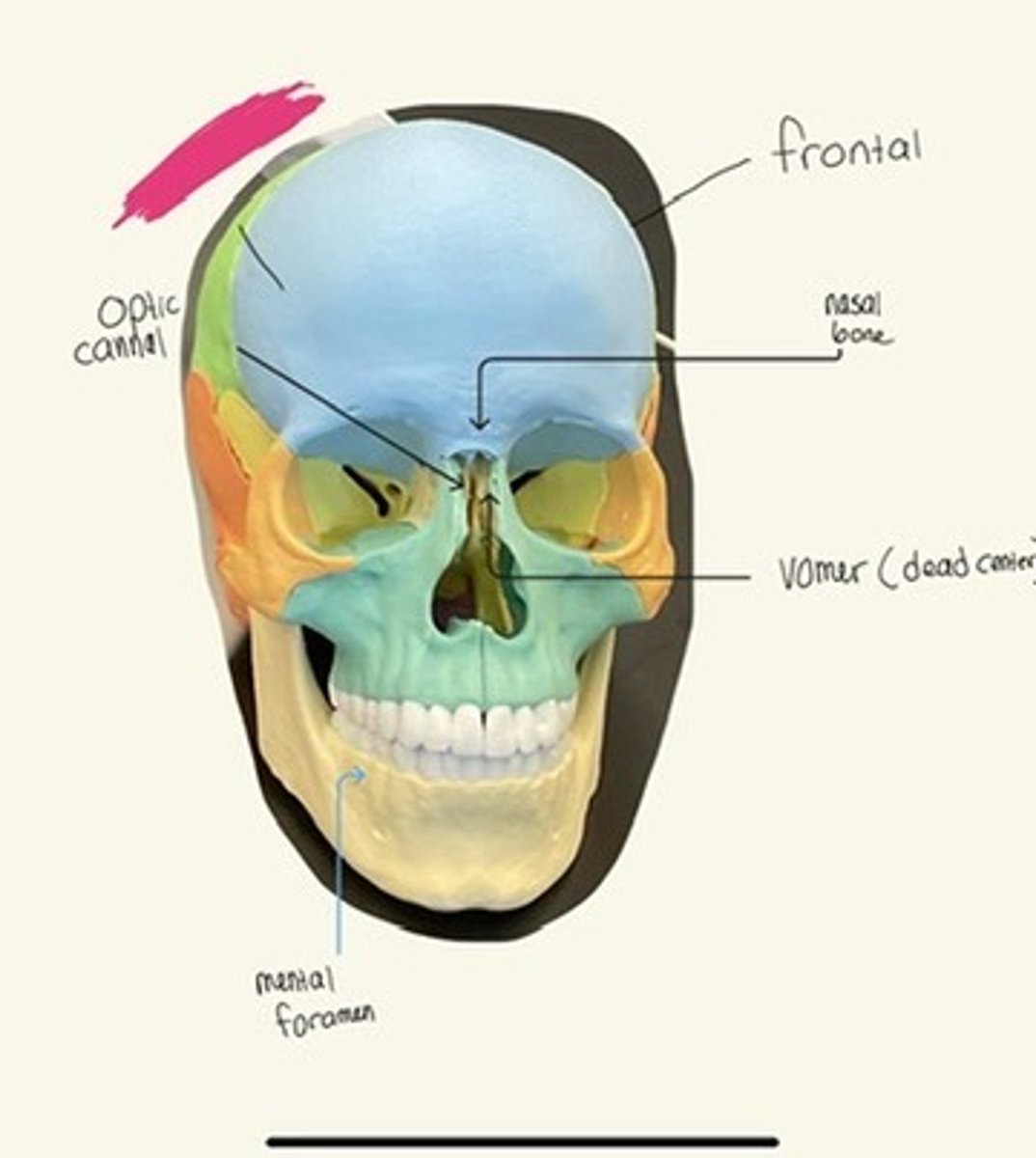 knowt flashcard image
