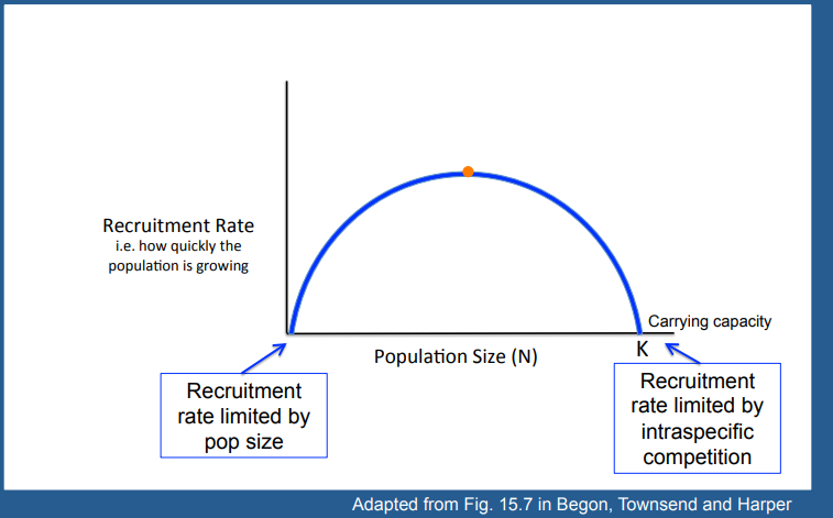 <p>Explain this graph</p>
