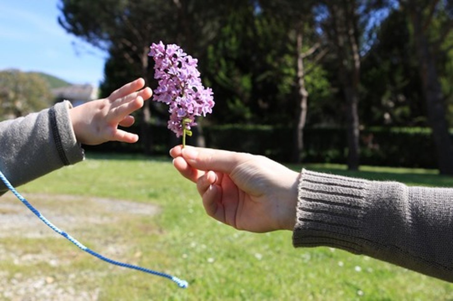 <p>có thể chấp nhận được</p>