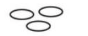 <p>bacilli: coccobacilli (slightly curved edges) </p>
