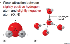 <p>Hydrogen bonds are intermolecular attractions that form when a hydrogen bond that is covalently bonded to one electronegative atom that it also attracted to another electronegative atom. Hydrogen bonds are individually weak but are strong when present in large numbers.</p>