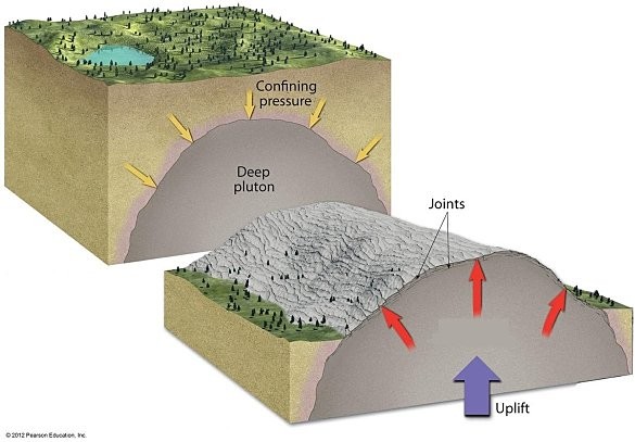 <p>What process does the diagram below illustrate?</p><p></p>