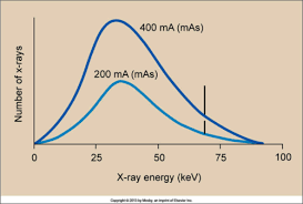 <p>increase in amplitude</p>