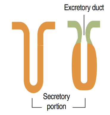 <p>Identify!</p>