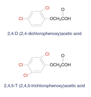 <p>A compound in herbicides that are characterized by an aliphatic carboxylic acid moiety attached to a chlorine or methyl-substituted aromatic ring. Ingestion of these compounds, such as 2,4-dichlorophenoxyacetic acid (2,4-D), causes acute poisoning in humans that can be treated with intravenous administration of bicarbonate.</p>
