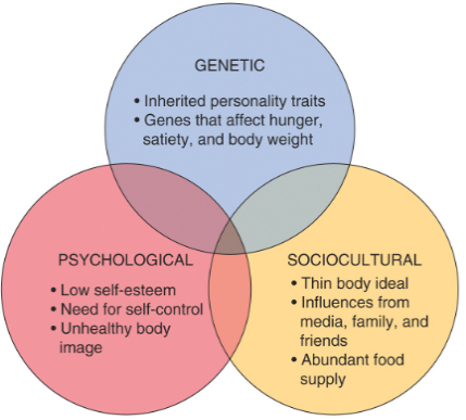 <ul><li><p>psychosocial and sociocultural combine to develop a distorted body image</p></li><li><p>genetics can play a factor- ex personality traits (perfectionism, rigidity, narcissism…) “baseline” body type, hunger/satiety</p></li><li><p>often first appear in adolescence</p><ul><li><p>physical, social and mental changes</p></li><li><p>desire for control during changes can manifest in control of food intake and weight</p></li></ul></li></ul><p></p>