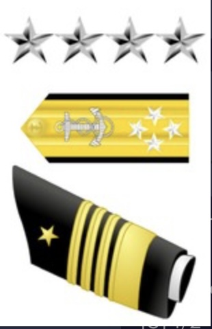 <p>4 Silver stars, [1] 2" Gold Stripe, [3] 1/2" Gold Stripes</p>