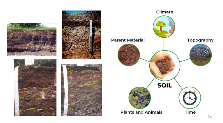 <p><span style="color: rgb(247, 244, 244);">• Suite of different soils and the ecological services they provide in a landscape</span><span style="color: rgb(247, 244, 244);"><br></span><span style="color: rgb(247, 244, 244);">• Individual soils have distinctive properties influenced by environmental factors</span></p><p><span style="color: rgb(247, 244, 244);">all three rocks go thru changes and give foundation for soil to form but we still need all the other factors in the photo </span></p><p><span style="color: rgb(247, 244, 244);">More develops at bottom than top of slope</span></p><p><span style="color: rgb(247, 244, 244);">TIME: certain soils are older than others, think about equators vs poles maybe?</span></p>