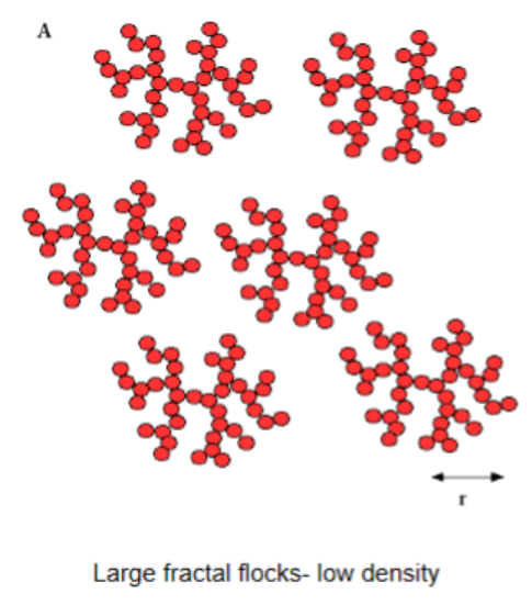 <p>Larger structure but lower density → more rapid sedimentation </p>