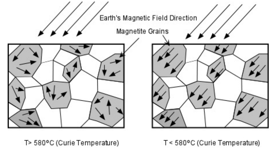 As igneous magnetic minerals crystalize and reach their Curie Temperature, they align themselves with the Earth’s prevailing magnetic field.

When magnetic minerals in sediment deposit, they also align themselves to Earth’s prevailing magnetic field.