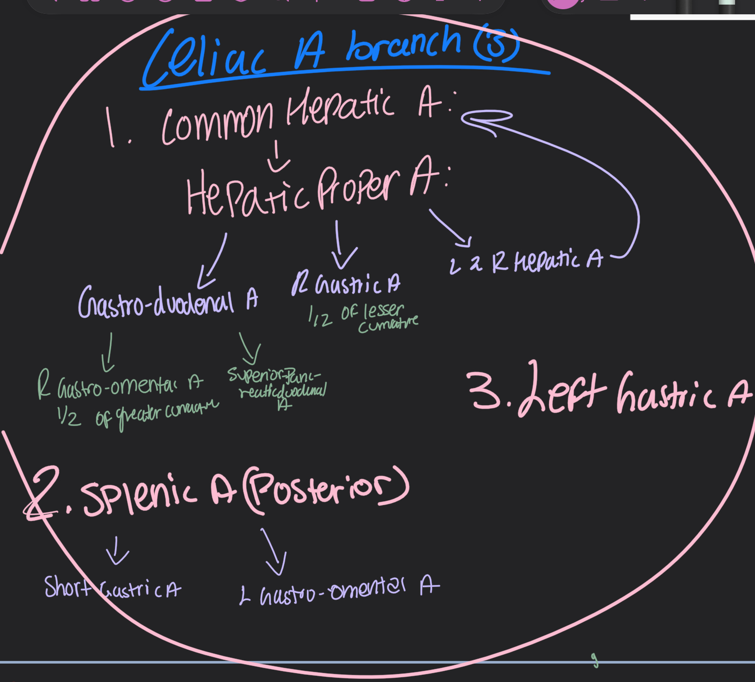 knowt flashcard image