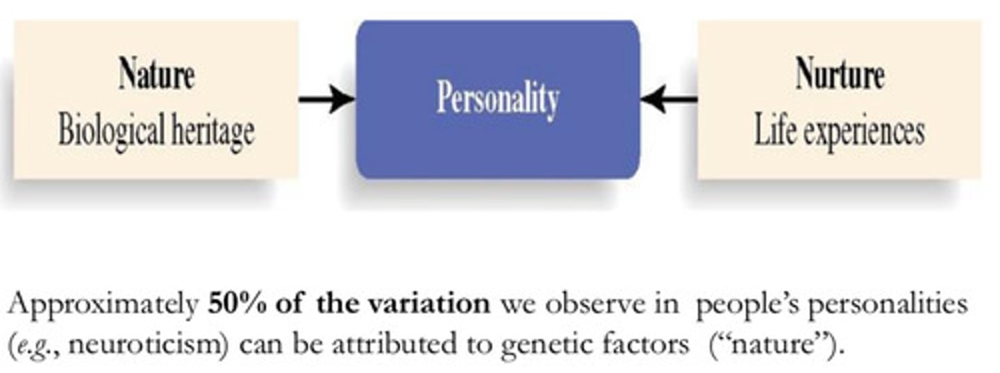<ul><li><p class="ds-markdown-paragraph"><span>It is the </span><strong><span>behavioral and emotional characteristics</span></strong><span> of an </span><strong><span>individual</span></strong><span> that are </span><strong><span>generally stable</span></strong><span> over time and across situations—their </span><strong><span>habitual way of responding</span></strong><span>.</span></p></li><li><p class="ds-markdown-paragraph"><strong><span>Traits</span></strong><span> are the </span><strong><span>core building blocks</span></strong><span>, seen as </span><strong><span>recurring regularities</span></strong><span> in how a person reacts to their </span><strong><span>environment</span></strong><span>.</span></p></li><li><p class="ds-markdown-paragraph"><strong><span>Predictive Power:</span></strong><span> It is </span><strong><span>much more predictive</span></strong><span> of </span><strong><span>performance</span></strong><span> when employees have a </span><strong><span>great deal of control</span></strong><span> over their work.</span></p></li><li><p class="ds-markdown-paragraph"><span>It can predict </span><strong><span>general behavior</span></strong><span> and </span><strong><span>happiness</span></strong><span>, and specifically </span><strong><span>work-related outcomes</span></strong><span> like </span><strong><span>work performance, career success, job satisfaction, and occupational status</span></strong><span>.</span></p></li></ul><p></p>