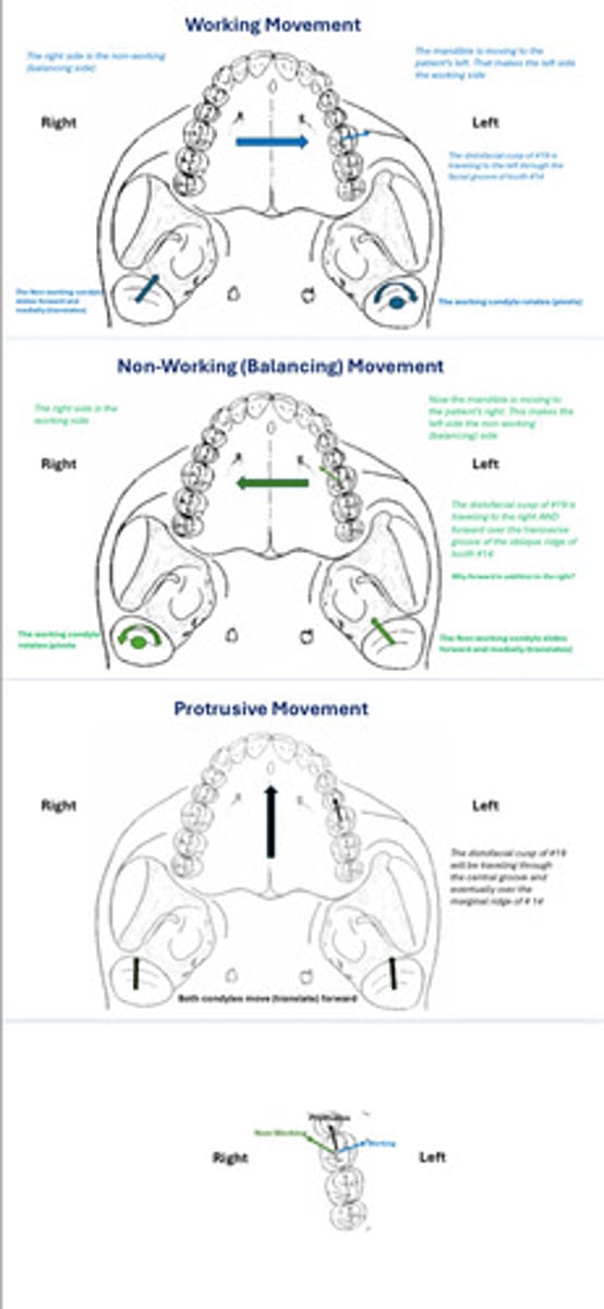 knowt flashcard image