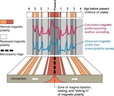 <p>magnetic reversal</p>