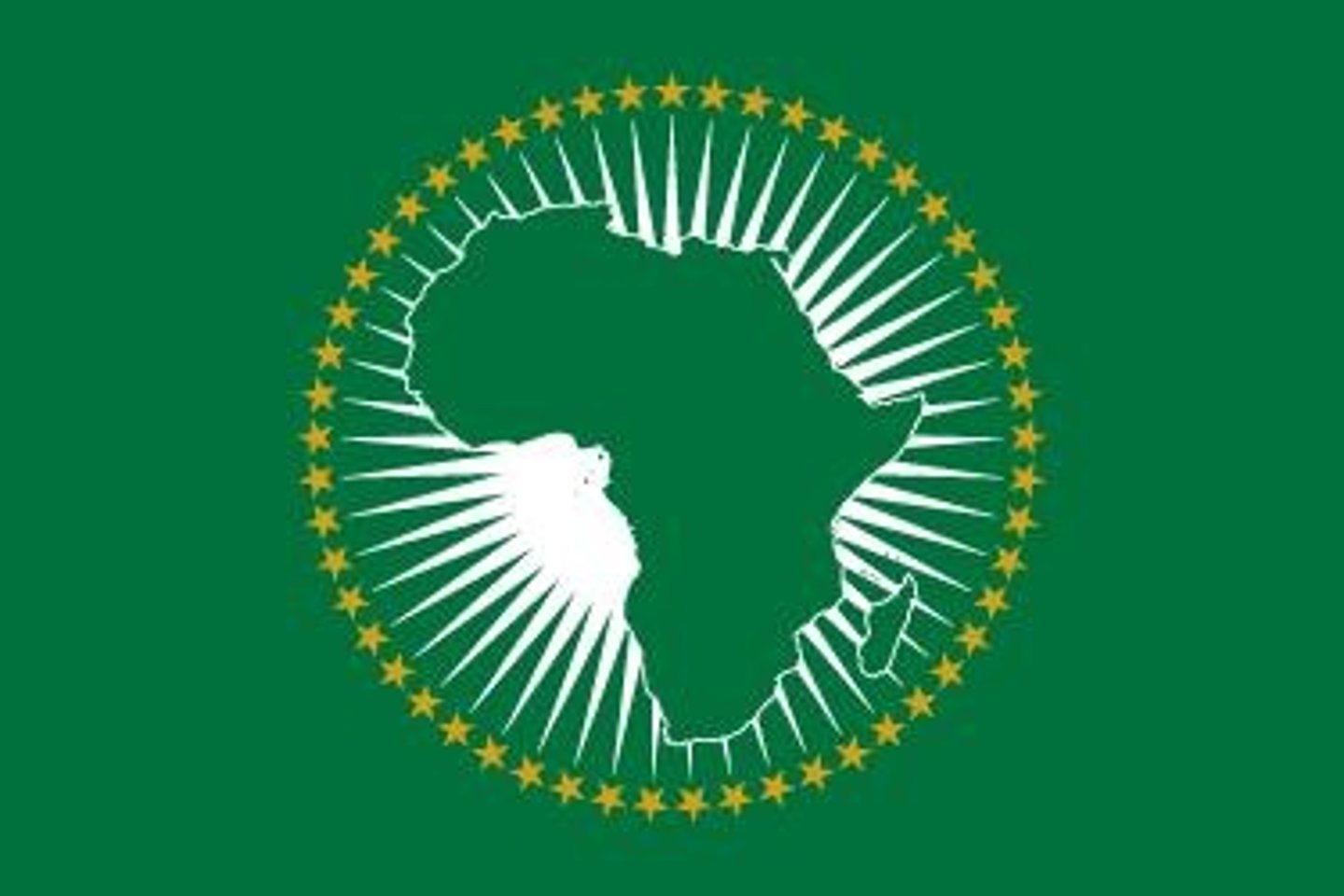 <p>An organization started in 1963 by thirty-two newly independent African states and designed to prevent conflict that would lead to intervention by former colonial powers.</p>