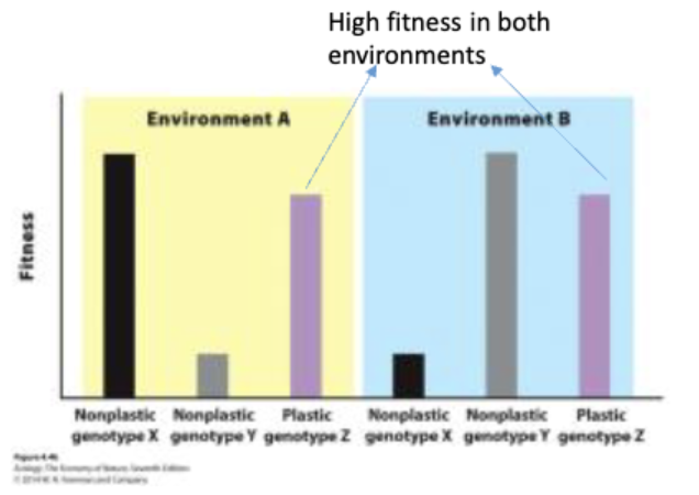 <p>The ability of a single genotype to product phenotypes </p>