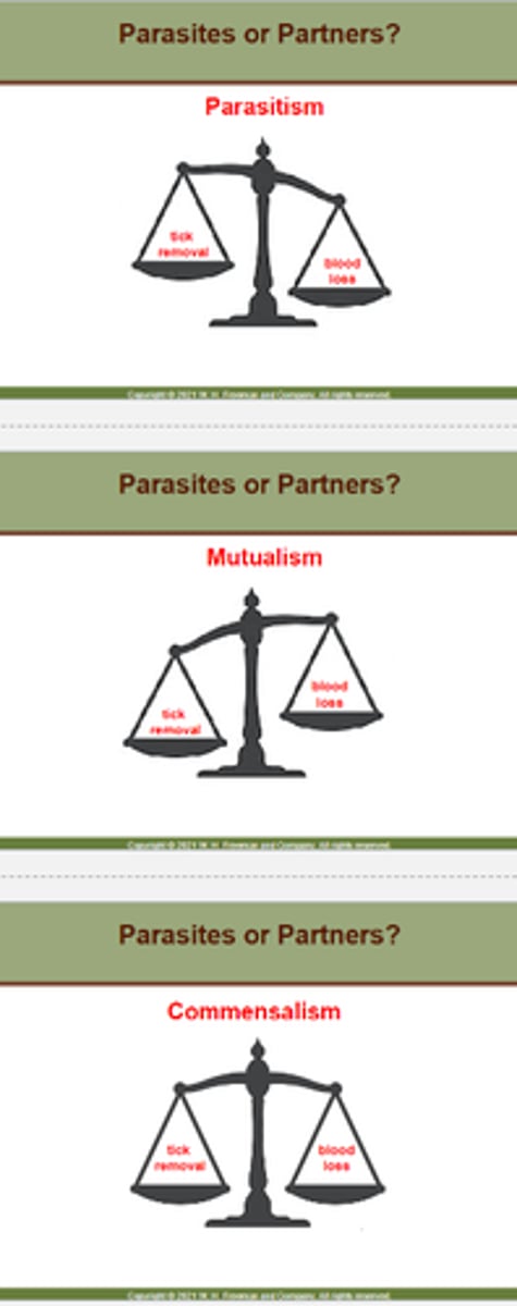 <p>A classic mutualism: Feeding on ticks benefits the mammal "host".</p><p>However, they also feed on blood and open wounds...</p>