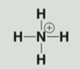 <p>identify the functional group</p>