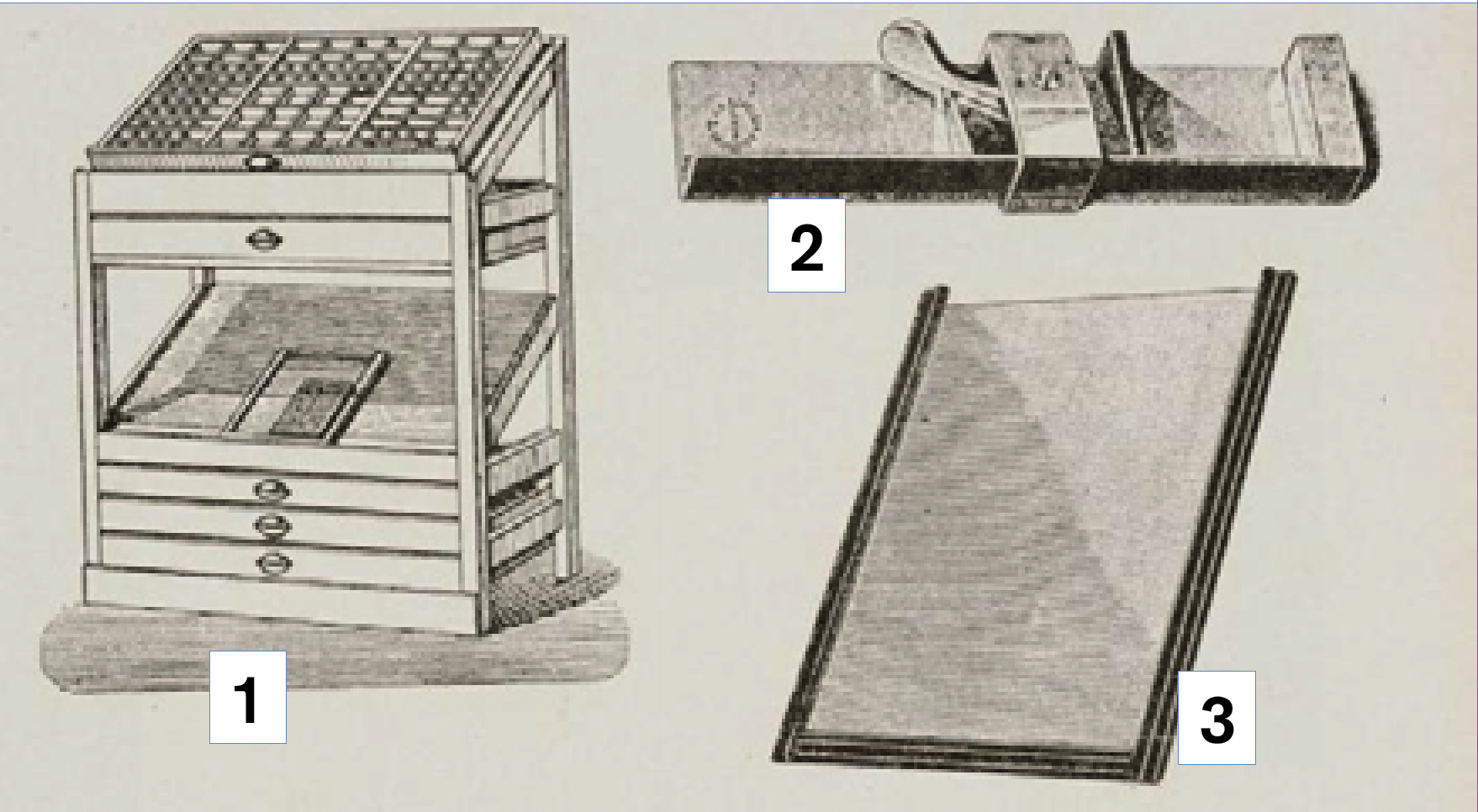 term image