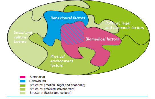<ul><li><p>addresses biomedical, behavioural and structural factors.&nbsp;</p></li><li><p>example structural environment factors→ prison, detention center, sex work sites. </p><ul><li><p>structural → political, legal, economic factors </p></li><li><p>structural → physical environment </p></li><li><p>structural → social and cultural </p></li></ul></li></ul><p></p>