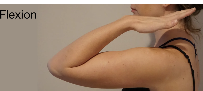 <p>Elbow Flexion</p>