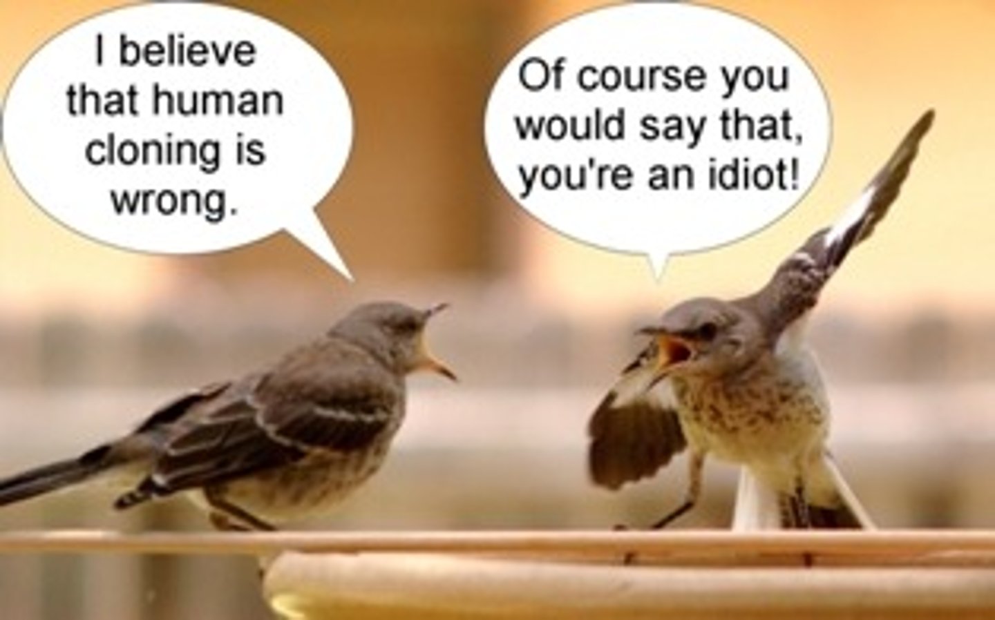 <p>a fallacy of logic in which a person's character or motives is attacked instead of the argument</p><p>latin for: to the man</p>