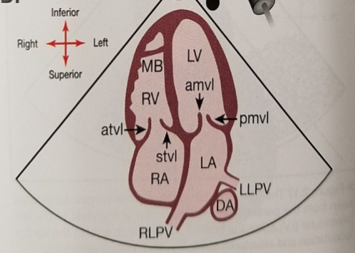 <p>What view is being shown?</p>