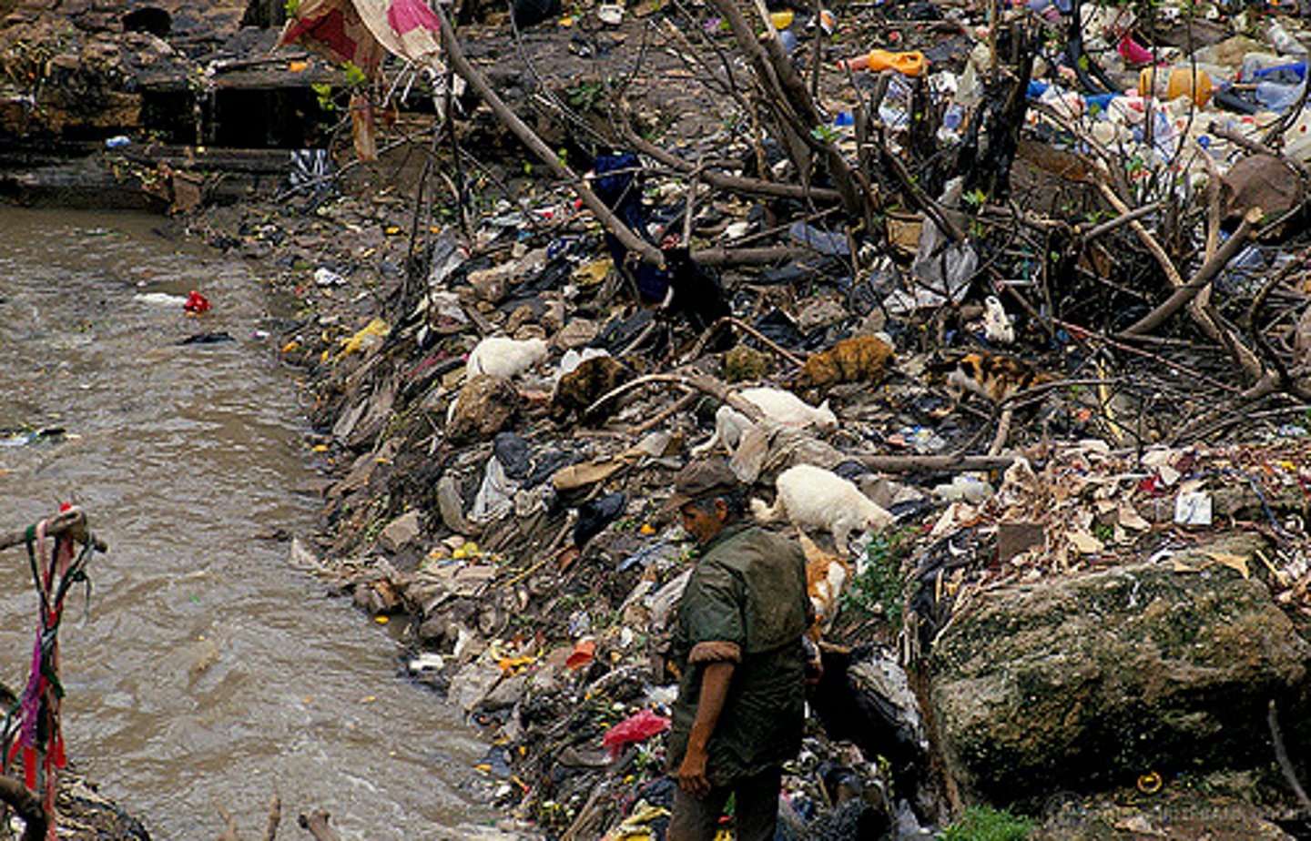 <p>... human sewage is one of the main pollutants of water<br><br>=&gt; unsafe water and poor sanitation<br><br>- Unsafe water is responsible for 1.2 million deaths each year<br>- 6% of deaths in LICs are the result of unsafe water sources<br>- 666 million (9% of the world) does not have access to an improved water sources (from 1990)<br>- 2.1 billion (1 in 4 people) do not have access to safe drinking water<br><br>=&gt; lack of access to safe water sources is a leading risk factor for infectious diseases<br><br>i.e., dysentery, hepatitis A, typhoid, cholera, diarrhoea, and polio<br><br>=&gt; it also exacerbates malnutrition and in particular, childhood stunting<br><br>=&gt; it ranks as a very important risk factor for death globally</p>