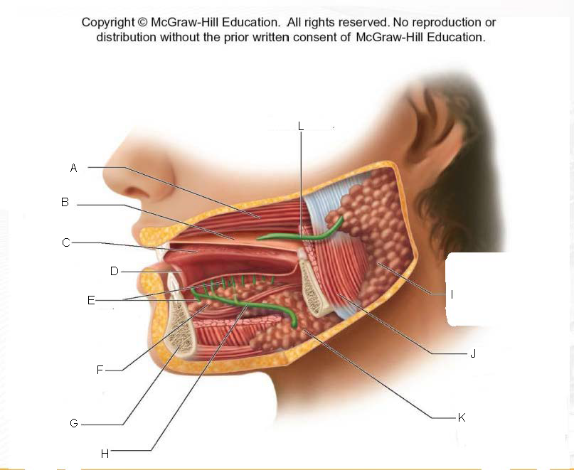 <p>E.</p>
