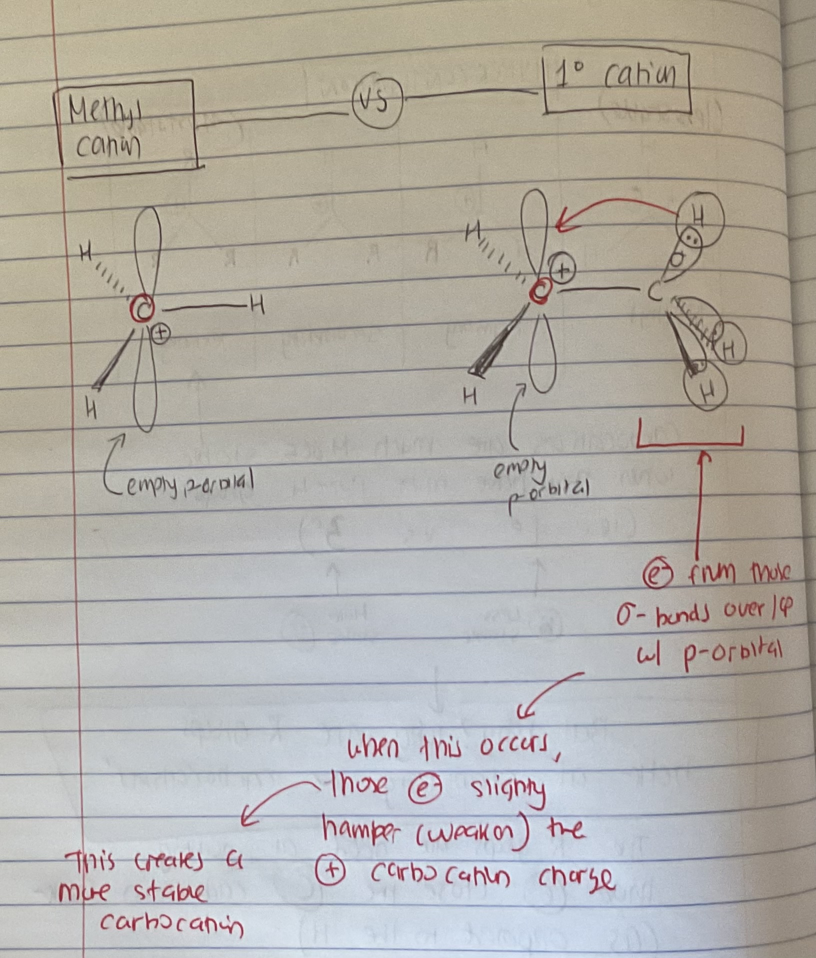 <p>(basis of understanding rearrangments) </p>