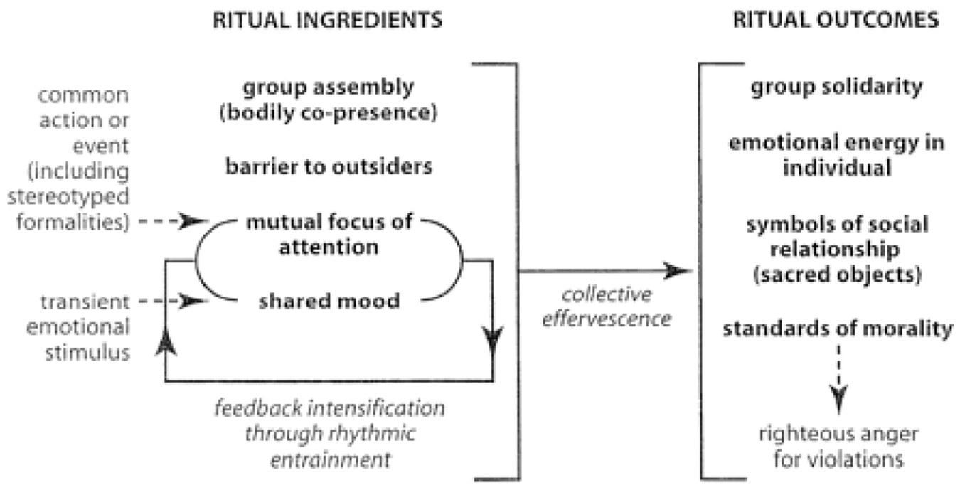 <p>Main IR dynamics focused upon in Figure I.1 and explain model</p><p></p>