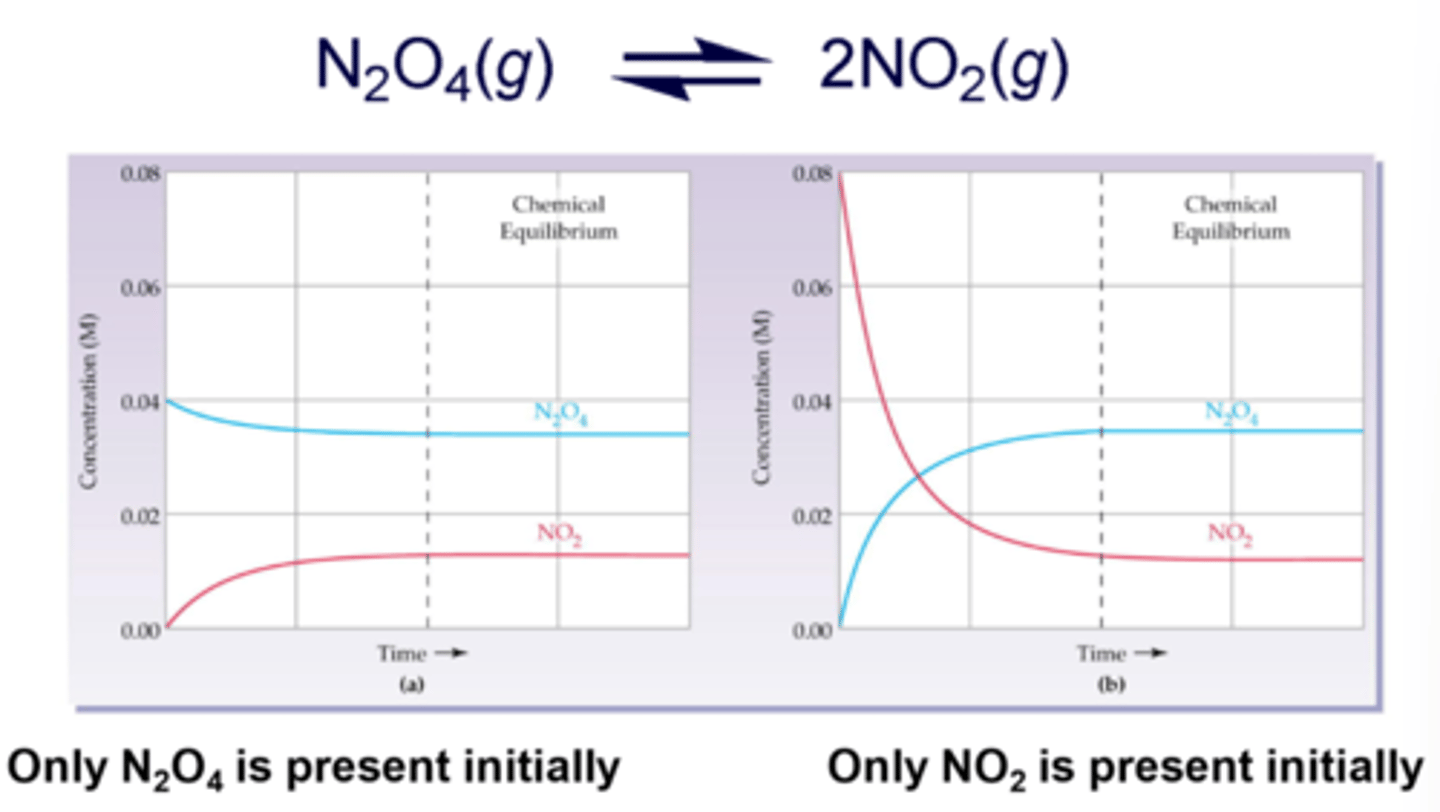 <p>forward reaction occurs more readily before equilibrium is established, meaning that the concentration of products will be higher</p>