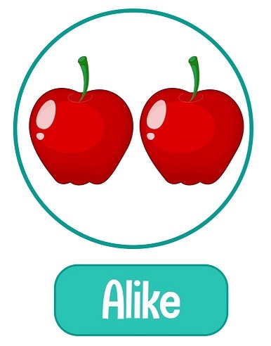 <p>Alike</p>