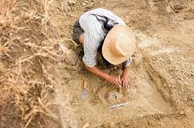 <p>excavation </p>
