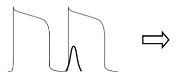 <p>what does this initial action potential represent and what would the outcome be?</p>