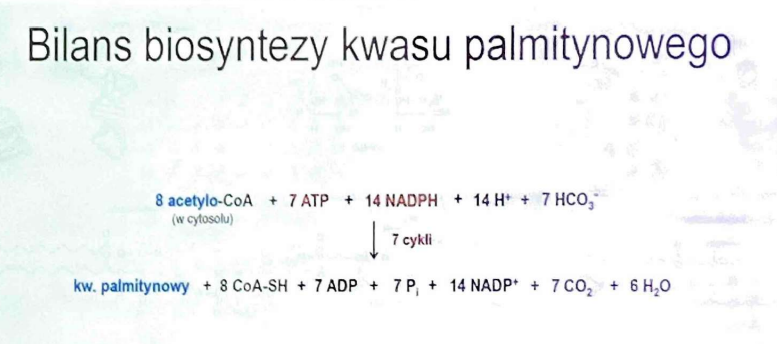 <p>8 cząsteczek acetylo-CoA, 7 cząsteczek ATP, 14 cząsteczek NADPH</p>