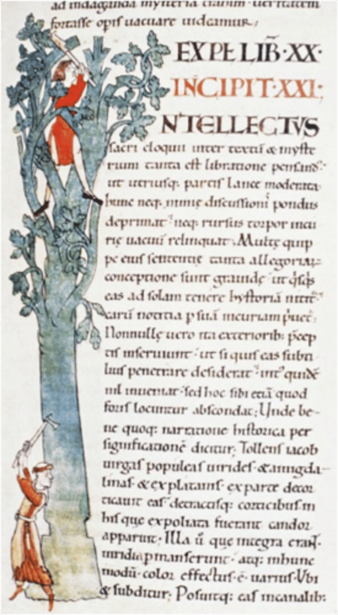 <p>The decorated initial ‘I’ contains figures climbing a tree, symbolizing spiritual struggle and ascent</p><p>Cistercian ideals of simplicity, focusing on spiritual meaning over decoration</p>