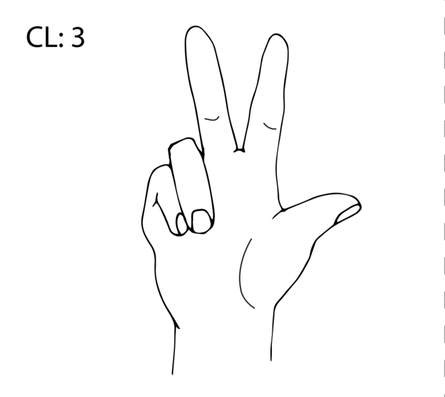 <p>What is a CL: 3 classifier?</p>